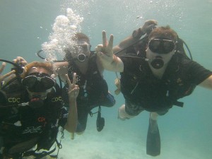 AdSense Flippers Diving Trip