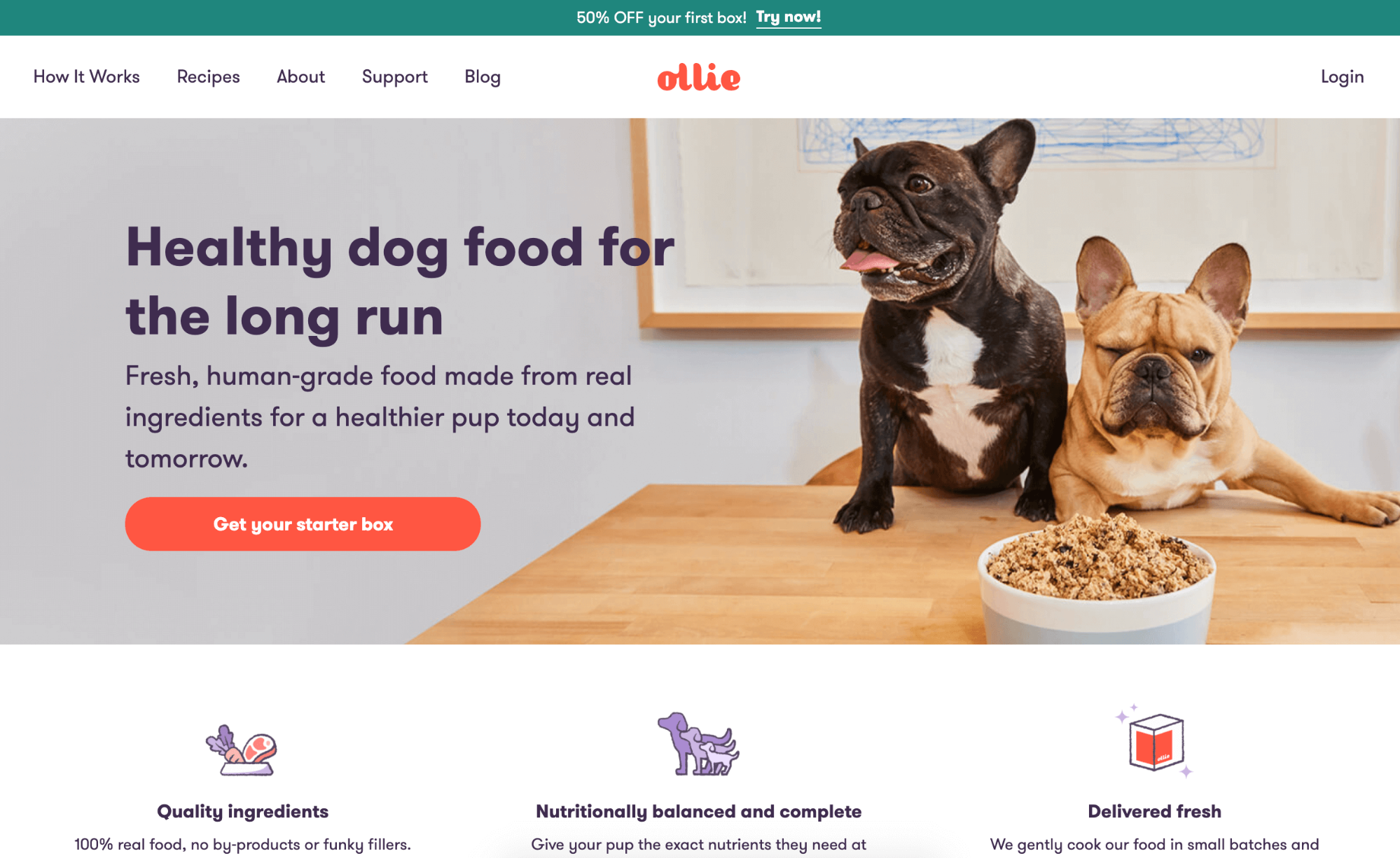 Catering To Cats (And Their Owners) With Customized Pet Food Plans